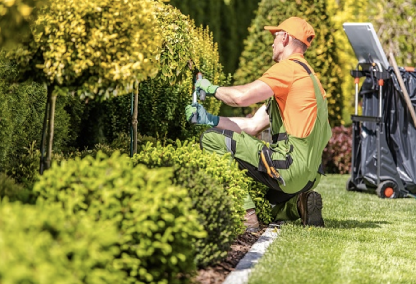 image of landscaper working